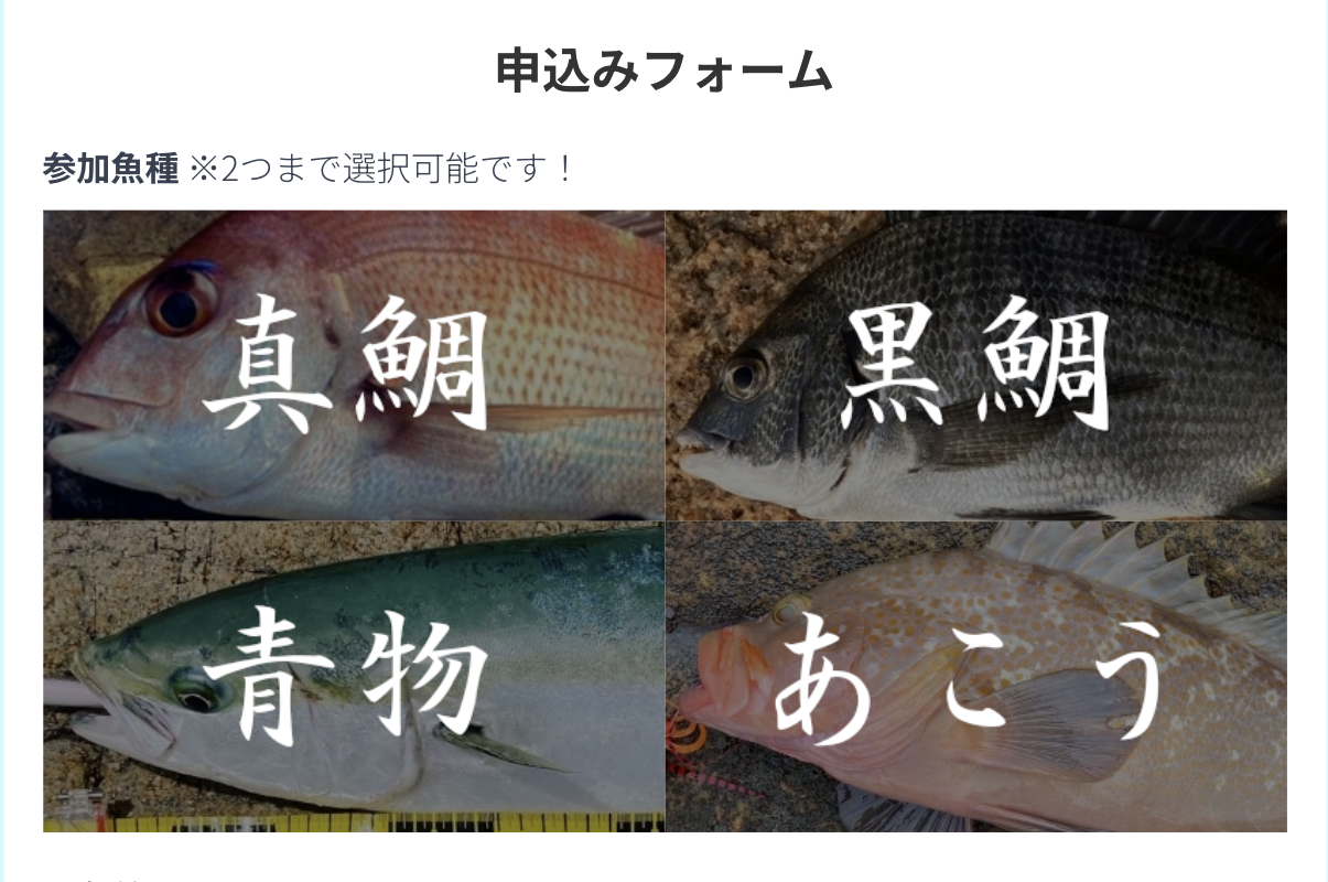 前田杯